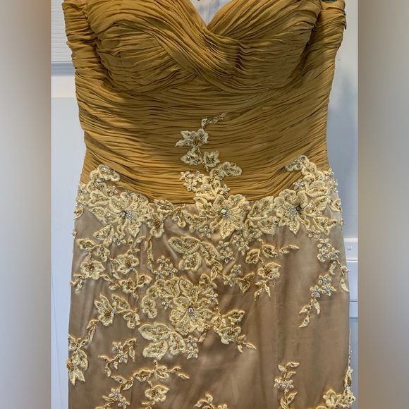 Cache Gold Evening Gown - Picture 3 of 11